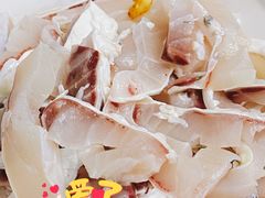 脆鲩鱼腩-中山脆肉鲩(新圳东路店)