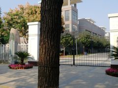 -金陵中学(河西分校)