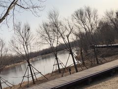 -东郊湿地公园