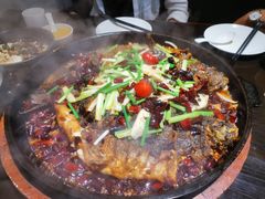 -老板恋上鱼(恒隆广场店)