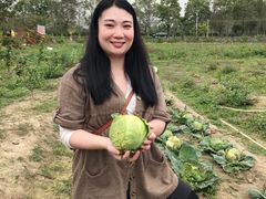 -荔枝红五号农庄