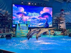 -海合安武汉极地海洋公园