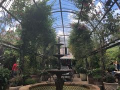 -The Grounds of Alexandria