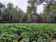 -四川大学(望江校区)