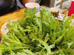 蒿子杆-毛辣果·贵州红酸汤牛肉火锅(西单店)