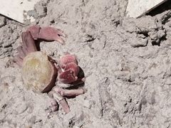 -上海长江河口科技馆