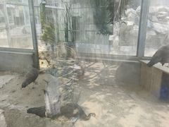 -水绘园