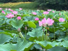 -长广溪湿地公园