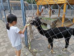 -长白岛森林公园
