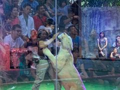 -清迈夜间动物园