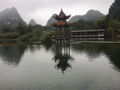 -靖西鹅泉风景区
