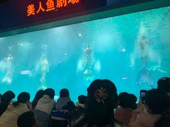 -福州罗源湾海洋世界旅游区