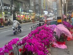 -溪岸路花鸟市场