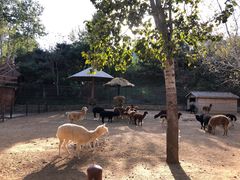 -大连森林动物园