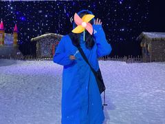 -宁波冰雪大世界(北仑区)