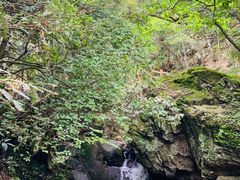 -藏龙百瀑风景区