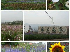 android_upload_pic-乐天花谷