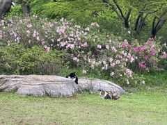 -上海滨江森林公园