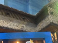 -青岛东方影都融创水世界