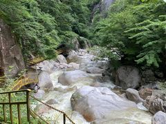 -青峰峡国家森林公园