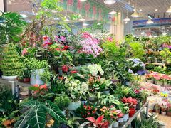 -双季花艺园艺市场(浦东店)