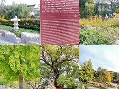 -八大处公园