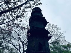 -北固山景区