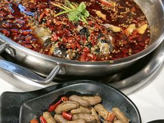 -味之绝热血美蛙鱼火锅(中坝店)