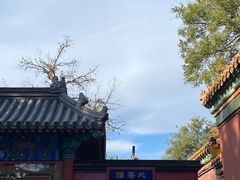 -雍和宫