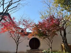 -上海醉白池公园
