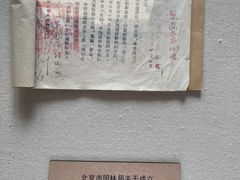 -北京动物园-畅观楼