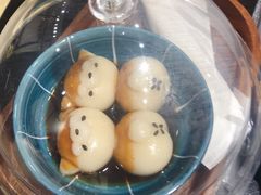 -逗柴咖啡屋·狗咖猫咖宠物桌游
