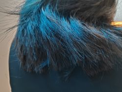 -卡木里发型工作室