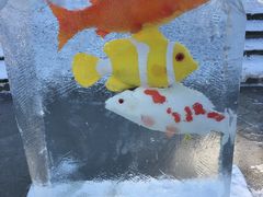 -长春公园(普阳街道)