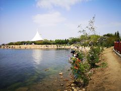 -丁香湖公园