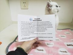 -关爱宠物医院·猫科中心·消化科(滨湖万达分院)