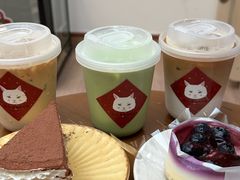 -有猫主题·治愈系猫咖(曾厝垵店)