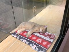 -韩宫宴烤肉·料理(苏州中心店)