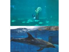 -福州罗源湾海洋世界旅游区