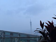 -广州柏悦酒店·悦吧·顶楼露天酒吧