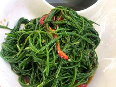 凉拌沙葱-塞伊德·蒙餐(锡林浩特店)
