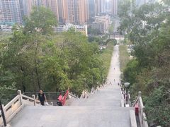 -红花山公园