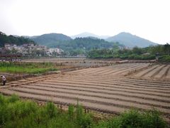 -红山村