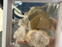 -房山世界地质公园博物馆