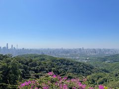 -广州市白云山风景名胜区
