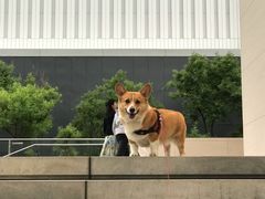 -新加坡高记KOO KEE Restaurant(盈科店)