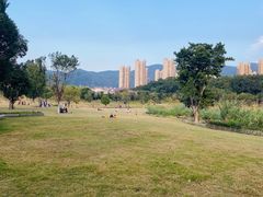 -牛岗山公园
