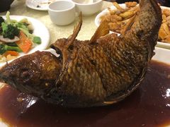 挣蹦鲤鱼-奥华餐厅·老张记(台基厂店)