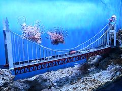 -太平洋海底世界