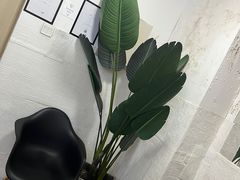 -红像馆连锁精致证件照职场照(中关村店)
